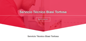 Servicio Técnico Biasi Tortosa 977208381