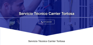 Servicio Técnico Carrier Tortosa 977208381