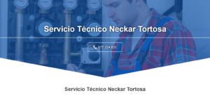 Servicio Técnico Neckar Tortosa 977208381