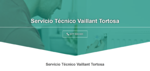 Servicio Técnico Vaillant Tortosa 977208381