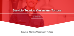 Servicio Técnico Viessmann Tortosa 977208381