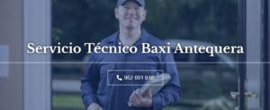 Servicio Técnico Baxi Antequera 952210452