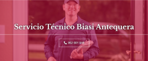 Servicio Técnico Biasi Antequera 952210452