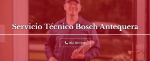 Servicio Técnico Bosch Antequera 952210452