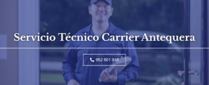 Servicio Técnico Carrier Antequera 952210452