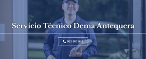 Servicio Técnico Dema Antequera 952210452