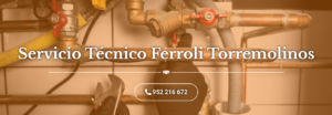 Servicio Técnico Ferroli Torremolinos 952210452