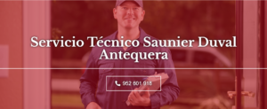 Servicio Técnico Saunier Duval Antequera 952210452