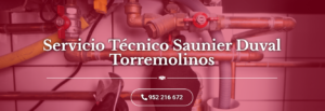 Servicio Técnico Saunier Duval Torremolinos 952210452