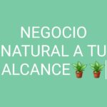 NEGOCIO NATURAL A TU ALCANCE - Lluchmayor
