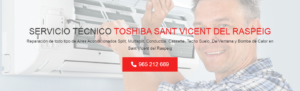 Servicio Técnico Toshiba Sant Vicent del Raspeig 965217105