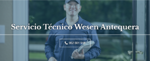 Servicio Técnico Wesen Antequera 952210452