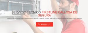 Servicio Técnico Firstline Callosa de Segura Tlf: 965 217 105