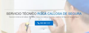 Servicio Técnico Roca Callosa de Segura Tlf: 965 217 105