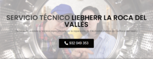Servicio Técnico Liebherr Roca Del Valles 934242687
