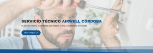 Servicio Técnico Airwell Córdoba 957487014