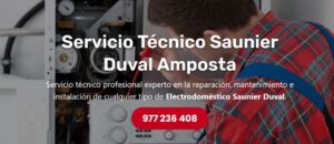 Servicio Técnico Saunier Duval Amposta 977208381