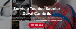 Servicio Técnico Saunier Duval Cambrils 977208381