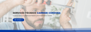 Servicio Técnico Carrier Córdoba 957487014