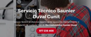 Servicio Técnico Saunier Duval Cunit 977208381