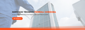 Servicio Técnico Ferroli Córdoba 957487014