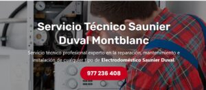 Servicio Técnico Saunier Duval Montblanc 977208381