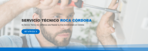 Servicio Técnico Roca Córdoba 957487014