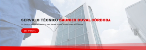 Servicio Técnico Saunier Duval Córdoba 957487014
