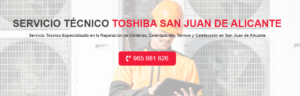 Servicio Técnico Toshiba San Juan de Alicante 965217105
