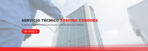 Servicio Técnico Toshiba Córdoba 957487014
