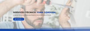 Servicio Técnico York Córdoba 957487014