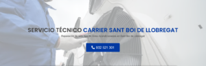Servicio Técnico Carrier Sant Boi de Llobregat 934242687