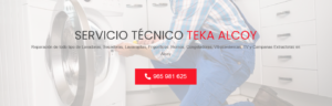 Servicio Técnico Teka Alcoy 965217105