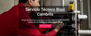 Servicio Técnico Biasi Cambrils 977208381