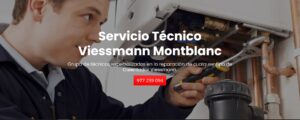 Servicio Técnico Viessmann Montblanc 977208381