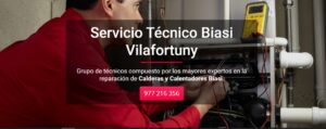 Servicio Técnico Biasi Vilafortuny 977208381