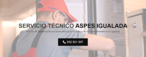 Servicio Técnico Aspes Igualada 934242687