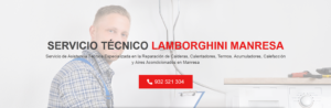 Servicio Técnico Lamborghini Manresa 934242687
