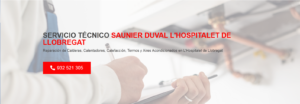 Servicio Técnico Saunier Duval L´Hospitalet de Llobregat 934242687