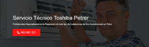 Servicio Técnico Toshiba Petrer 965217105