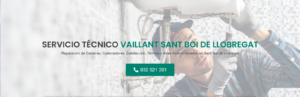 Servicio Técnico Vaillant Sant Boi de Llobregat 934242687