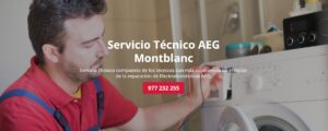 Servicio Técnico Aeg Montblanc 977208381