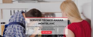 Servicio Técnico Amana Montblanc 977208381