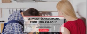 Servicio Técnico Amana Mont-roig del camp 977208381