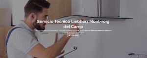 Servicio Técnico Liebherr Mont-roig del camp 977208381