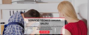 Servicio Técnico Amana Salou 977208381