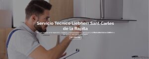 Servicio Técnico Liebherr Sant Carles de la Rapita 977208381