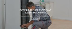Servicio Técnico Aspes Sant Carles de la Rapita 977208381