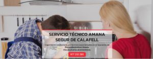 Servicio Técnico Amana Segur de Calafell 977208381