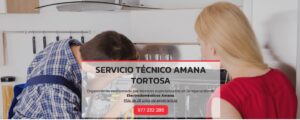 Servicio Técnico Amana Tortosa 977208381